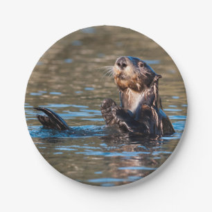 Sonniger Seeotter Pappteller