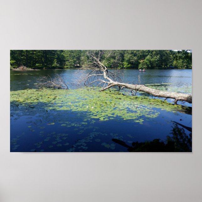 sonniger Sommer Poster (Vorne)