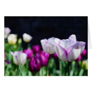 Sonniger Tag!