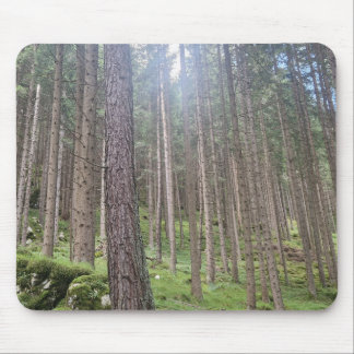 Sonniger Wald - Grüne Waldlandschaftsfotografie-Ma Mousepad