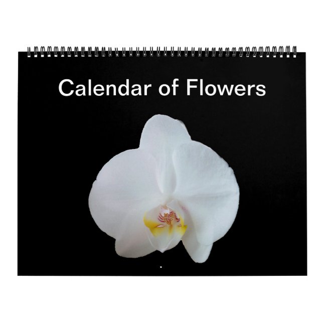 Sonniges Daze Foto Kalender der Blume (Titelbild)