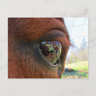 Sonntagsweltpostkarte Postkarte