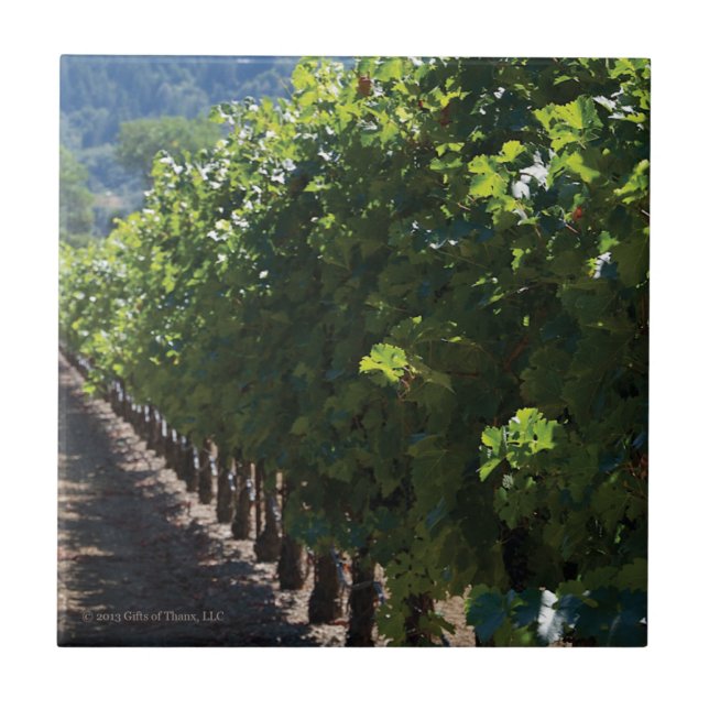 Sonoma County Weinberg - Keramik-Fliese Fliese (Vorderseite)