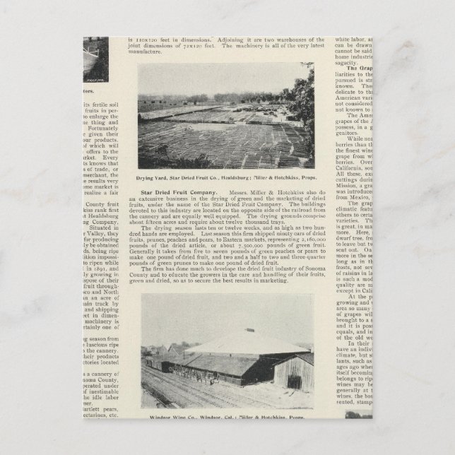 Sonoma Landkreis, Kalifornien Postkarte (Vorderseite)