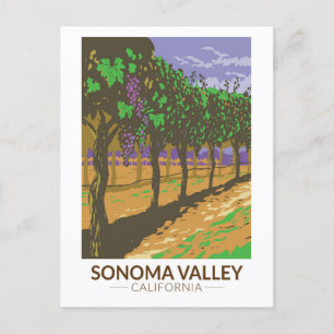 Sonoma Valley Kalifornien Weinberg Reise Vintage Postkarte