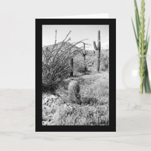 Sonoran Cacti Desert Garden Foto Grußkarten Karte