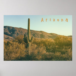 Sonoran Desert Arizona Poster