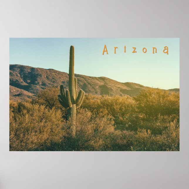Sonoran Desert Arizona Poster (Vorne)