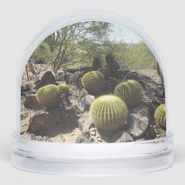 Sonoran Desert Snow Globe Schneekugeln (Vorderseite)