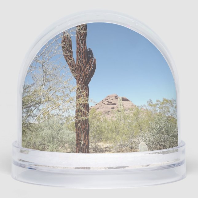 Sonoran Desert Snow Globe Schneekugeln (Vorderseite)