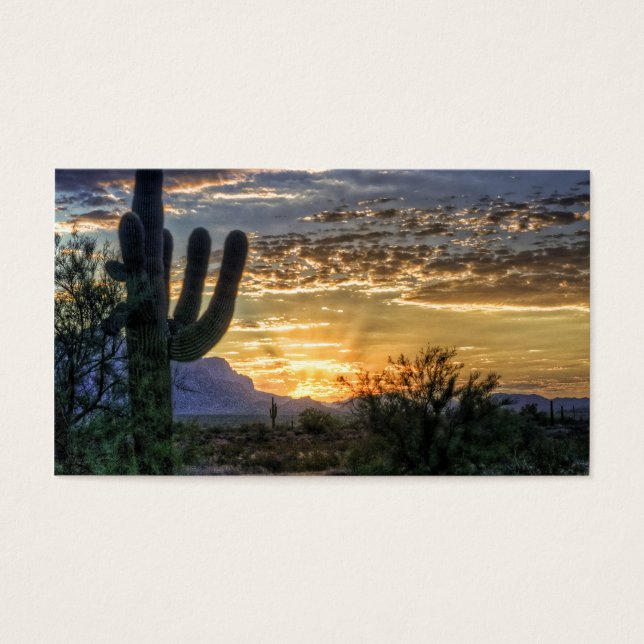 Sonoran Sunrise (Devant)