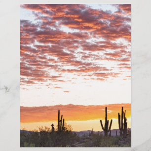 Sonoran Wüste farbenfroher Sonnenaufgang Morgen