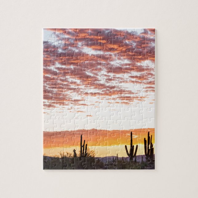 Sonoran Wüsten-bunter Sonnenaufgang-Morgen (Vertikal)