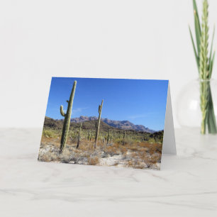 Sonoran-Wüstenlandschaft 13 Karte