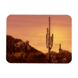 Sonoran Wüstensonnenuntergang Magnet
