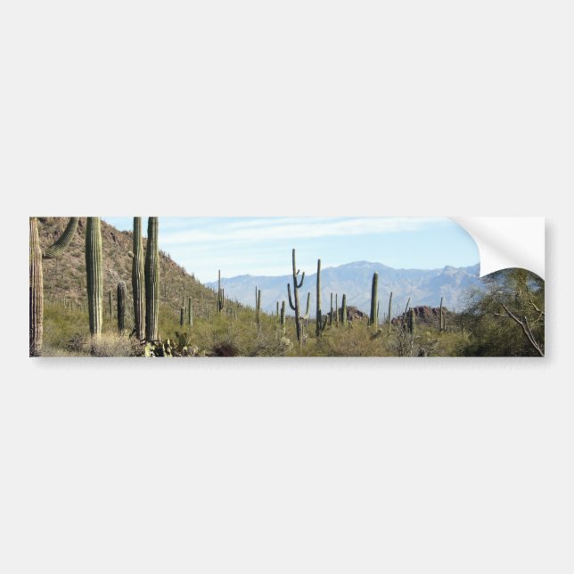 Sonoran Wüstenszene 02 Autoaufkleber (Vorne)