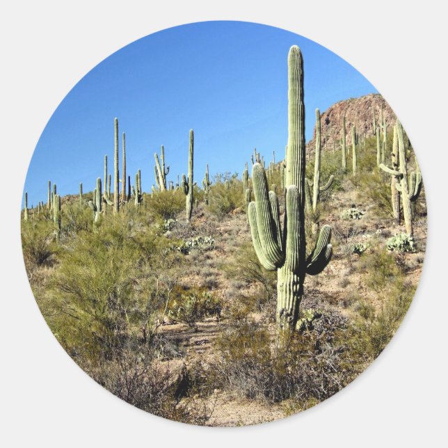 Sonoran-Wüstenszene 03 Runder Aufkleber (Vorderseite)
