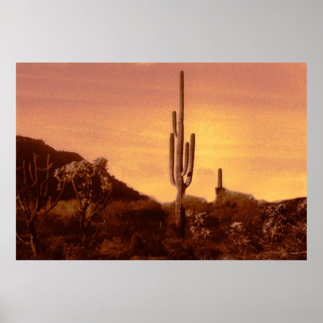 sonorischer Sonnenuntergangsdruck Poster (Vorne)
