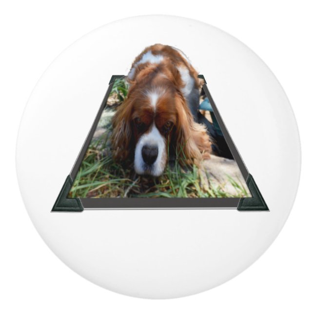 Sooky Face Cavalier Spaniel Popout Art, Keramikknauf (Vorderseite)