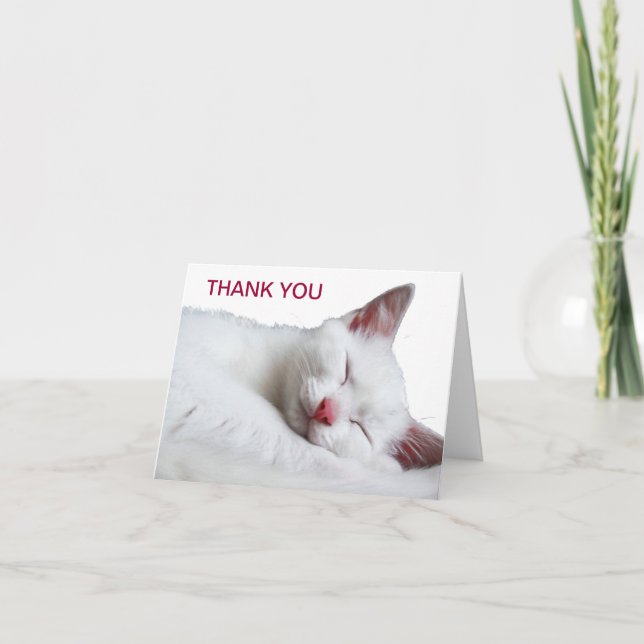 SOOO SLEEPY - CARTE DE REMERCIEMENTS (Devant)
