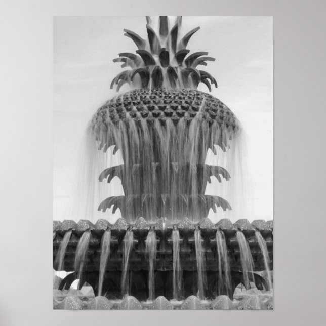 Soothing Pineapple Poster (Vorne)