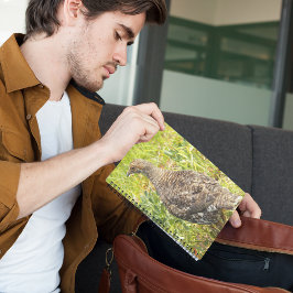 Sooty Grouse Wildlife Foto Notizblock