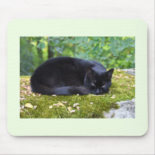 Sooty Mousepad