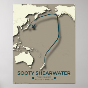 Sooty Shearwater Migration Map - Minimalistisch Poster