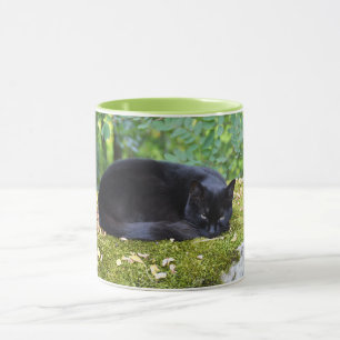 Sooty Tasse