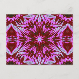 SOPHORNITELLA 48 POSTKARTE