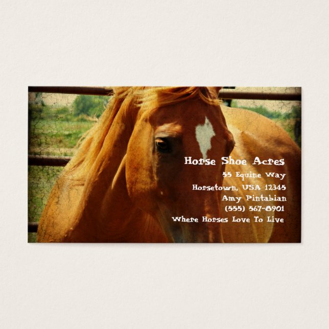 Sorrel dans stylo rond (Devant)