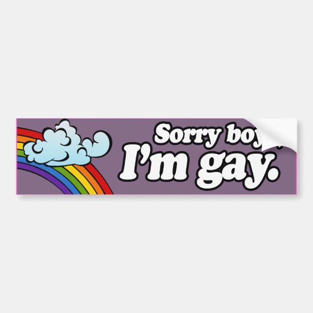 SORRY BOYS I BIN GAY -.png Autoaufkleber (Vorne)