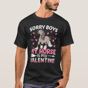 Sorry Boys mein Sinti und Roma Pferd ist mein Vale T-Shirt