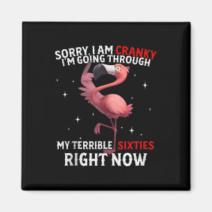Sorry, ich bin unsicher I'm geht durch mein Te Magnet