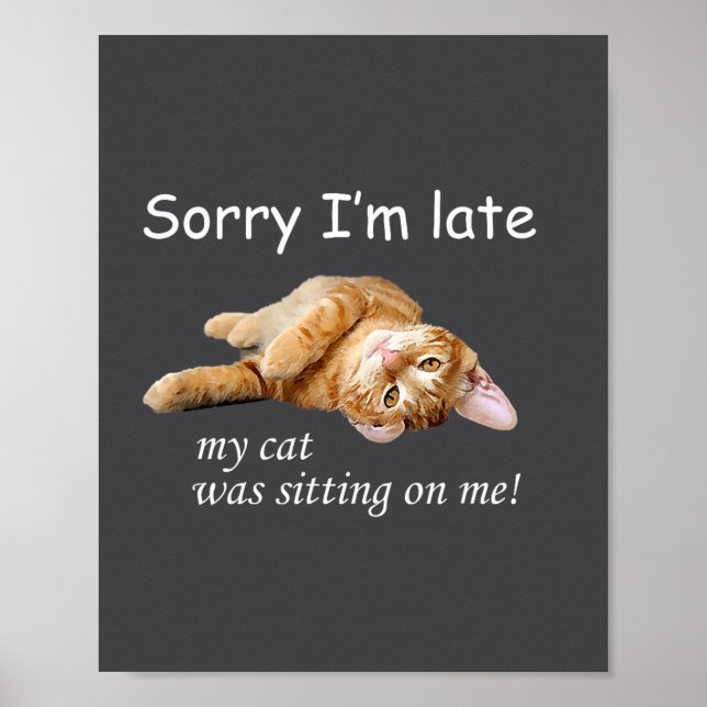 Sorry I'm Late, My Cat Was Sitting On Me. Men Wome Poster (Vorne)