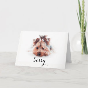 Sorry Love Yorkies (5" x 7"), weiße Umwickungen Ca Karte