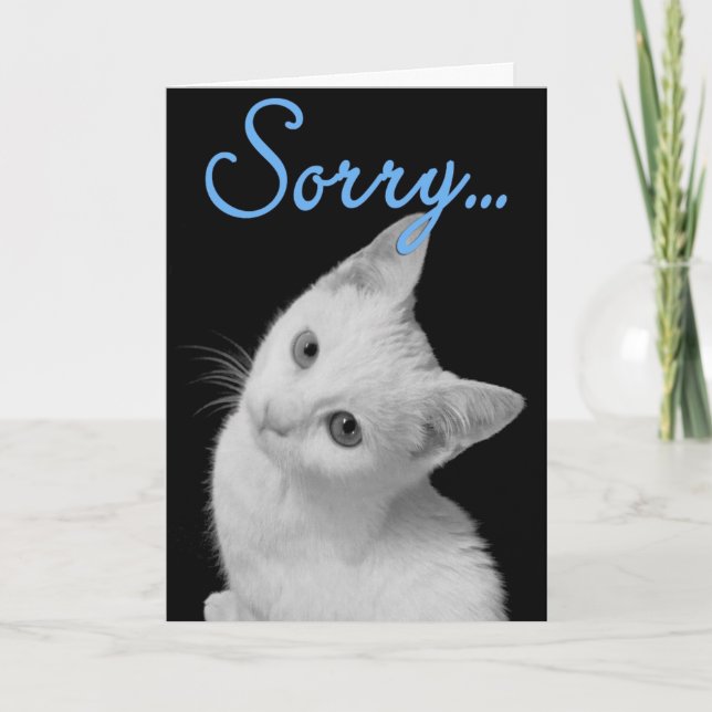 Sorry Niedliches Türkisches Van Kitten Black & Whi Karte (Vorderseite)