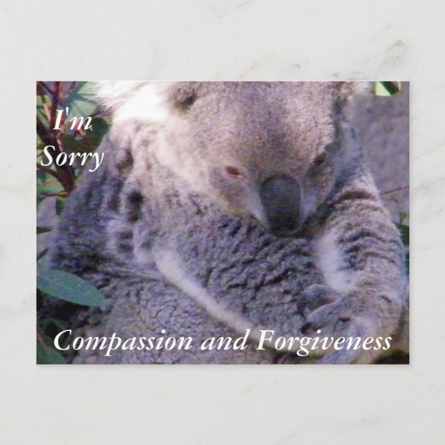 Sorry_Postcard Postkarte (Vorderseite)