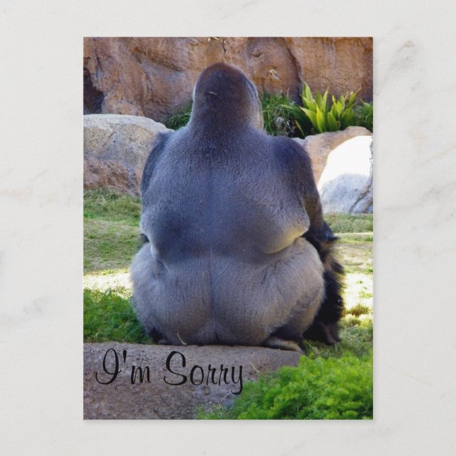 Sorry_ Postcard Postkarte (Vorderseite)