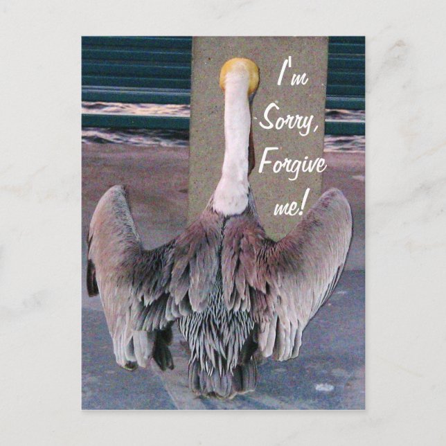 Sorry_ Postcard Postkarte (Vorderseite)