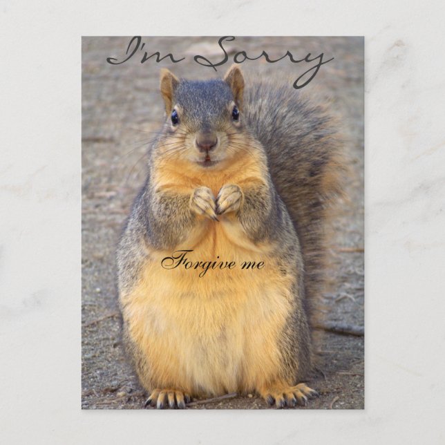 Sorry_ Postkarte (Vorderseite)