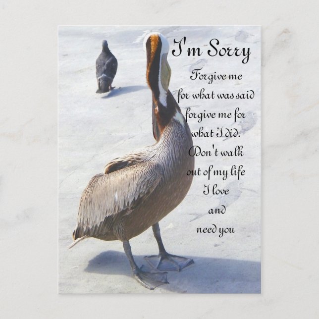 Sorry_ Postkarte (Vorderseite)