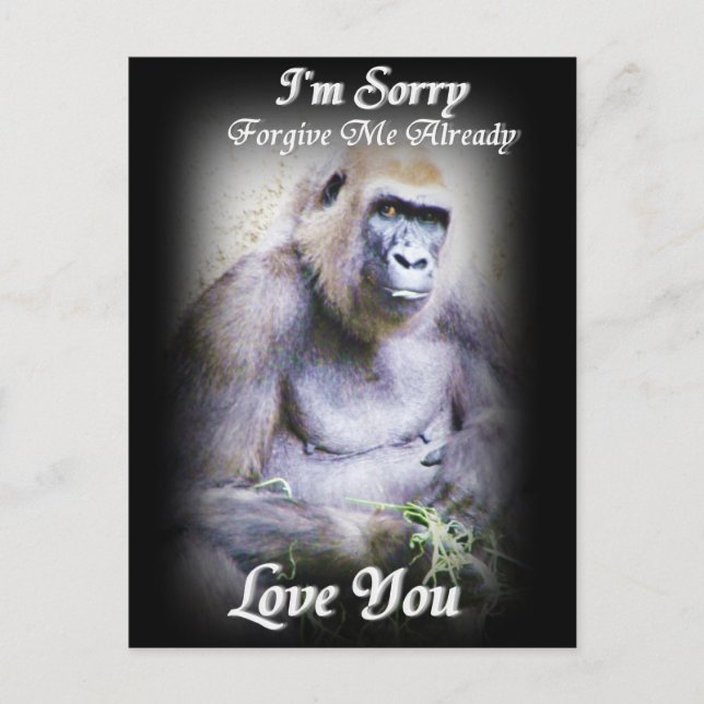 Sorry_ Postkarte (Vorderseite)