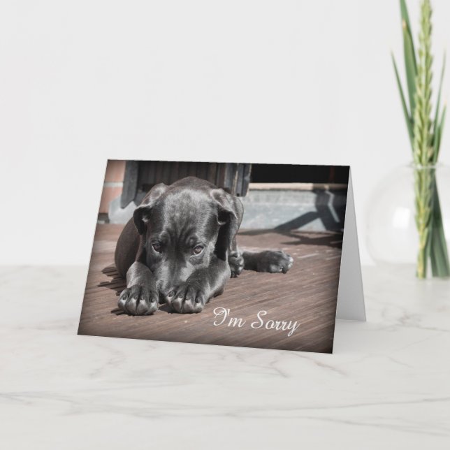 Sorry Puppy Grußkarte Karte (Vorderseite)