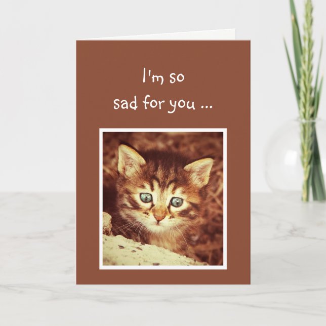 Sorry so traurig für Sie ermutigen Kitten Animal Karte (Vorderseite)