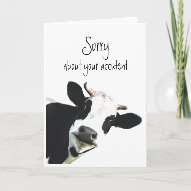 Sorry über Unfälle Blume Spaß Cow Holstein Karte (Vorderseite)