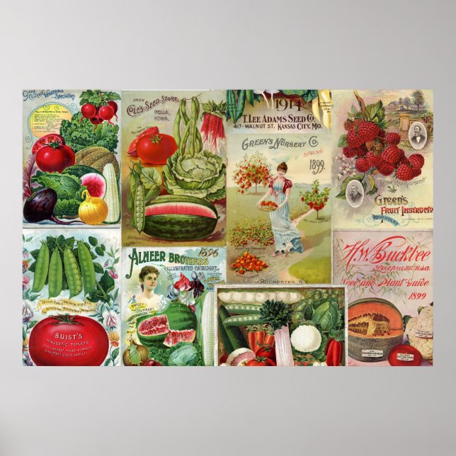 Sortenkatalog für Obst und Gemüse Poster (Vorne)