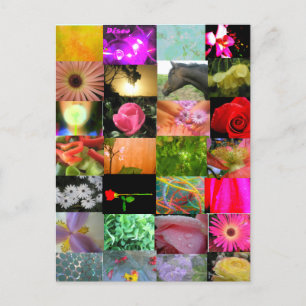 Sortenkollektion Postkarte