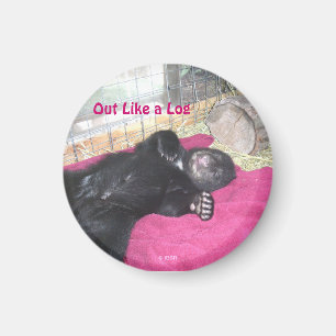 Sortie comme un aimant de journal