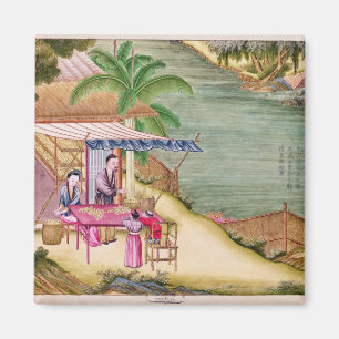 Sortieren der Kokons Magnet